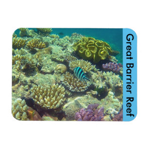 Magnet Flexible corail de barrière