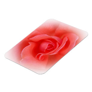 Magnet Flexible corail rose rose