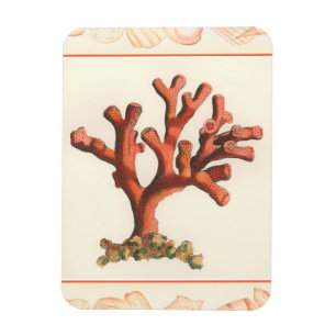 Magnet Flexible Corail rouge avec la frontière de Shell de conque