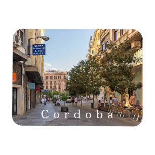 Magnet Flexible Cordoue. #20.