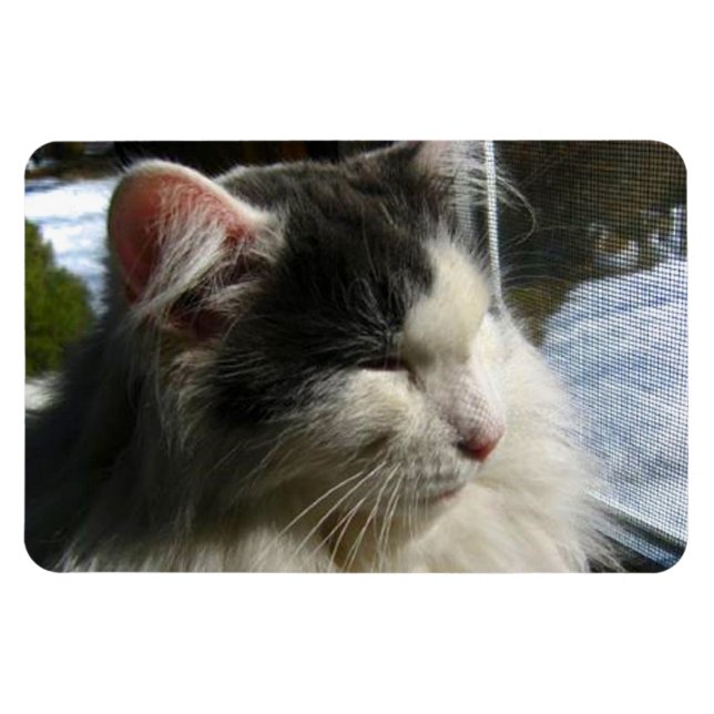 Magnet Flexible Cosmo 4 X 6 Aimant photo personnalisé (Horizontal)