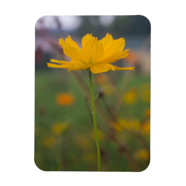 Magnet Flexible Cosmos de soufre 02 (Vertical)
