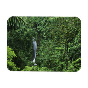 Magnet Flexible Costa Rica, zone volcanique d'Arenal, pont de Hang