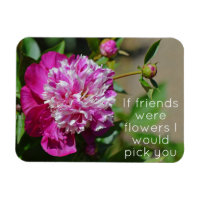 Cottage rose Peony Flower Friend