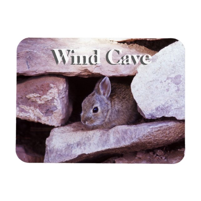Magnet Flexible Cottontail Rabbit in Rocks Wind Cave NP (Horizontal)