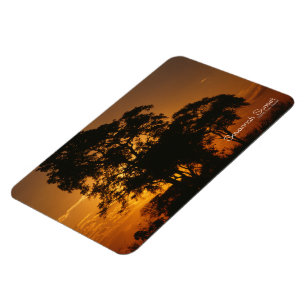 Magnet Flexible Coucher de soleil à Savannah