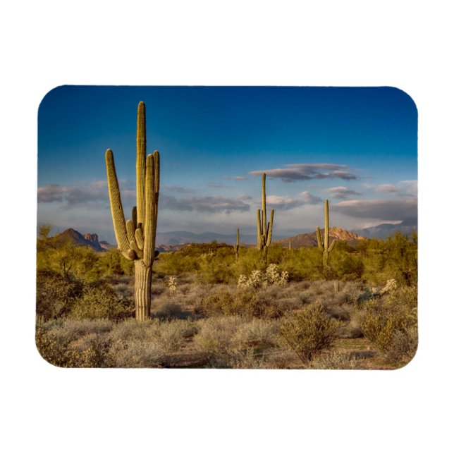 Magnet Flexible Coucher de soleil de Cactus en Arizona (Horizontal)