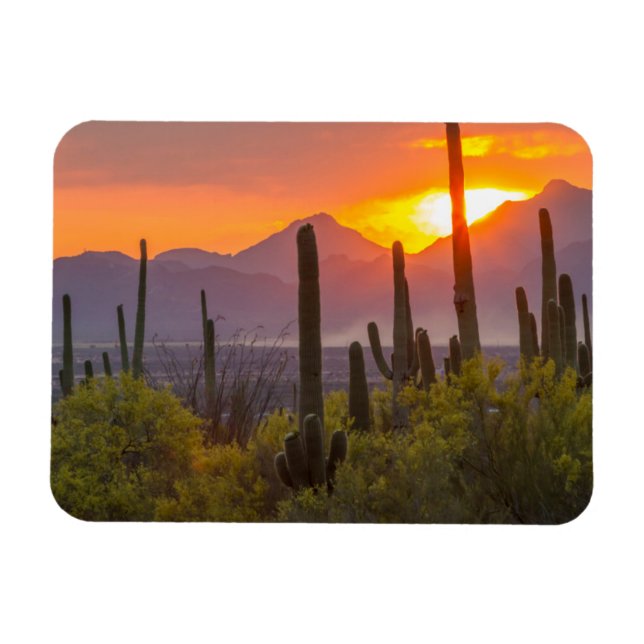 Magnet Flexible Coucher de soleil sur cactus du désert, Arizona (Horizontal)