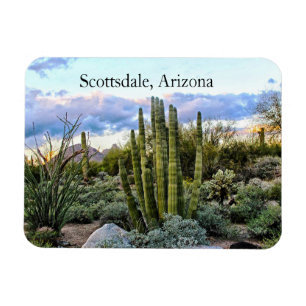 Magnet Flexible Coucher du soleil succulent de Scottsdale,