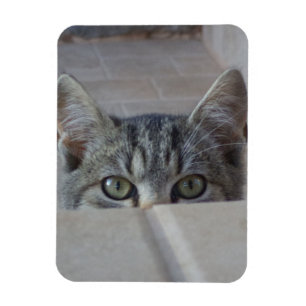 Magnet Flexible Coucou petit chaton