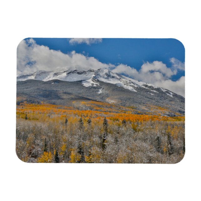 Magnet Flexible Couleurs d'automne des peupliers trembles &  | Mon (Horizontal)