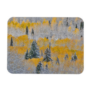 Magnet Flexible Couleurs d'automne des trembles et neige fraîche K