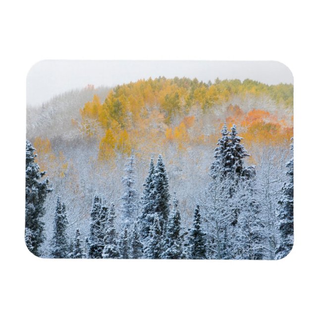Magnet Flexible Couleurs d'automne des trembles et neige fraîche K (Horizontal)