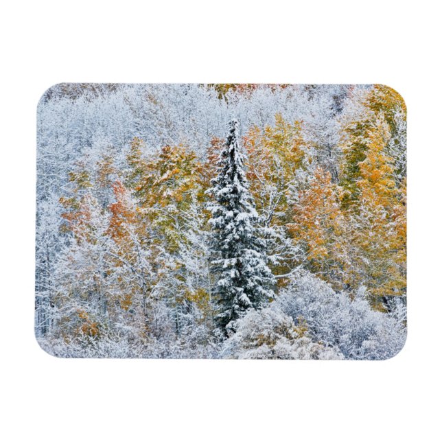 Magnet Flexible Couleurs d'automne des trembles et neige Keebler P (Horizontal)