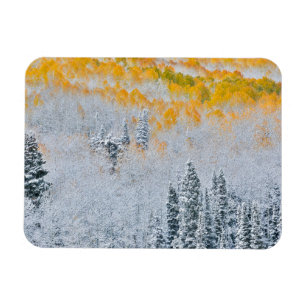 Magnet Flexible Couleurs d'automne des trembles   Montagnes Rocheu