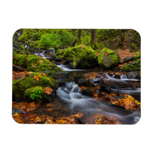 Magnet Flexible Couleurs d'automne le long des chutes de Starvatio