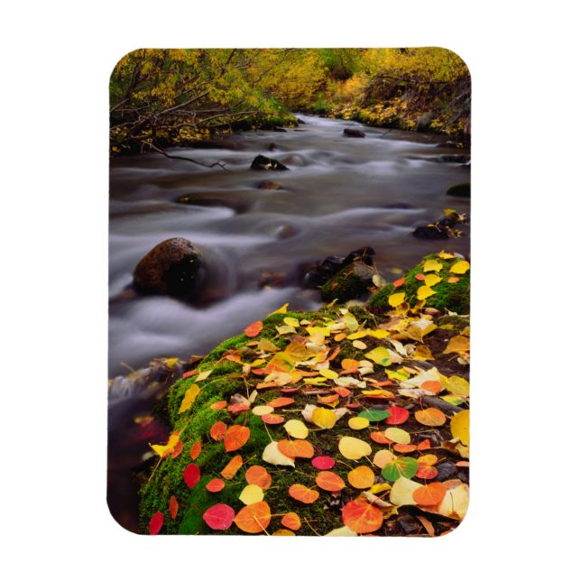 Magnet Flexible Couleurs d'automne le long du ruisseau McGee (Vertical)