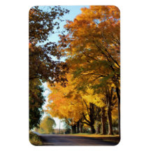 Couleurs d'automne sur Country Road
