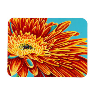 Magnet Flexible Couleurs éclatées I