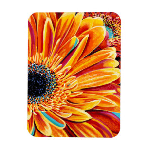 Magnet Flexible Couleurs éclatées II