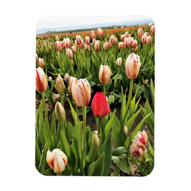 Magnet Flexible Coup de poing (Vertical)