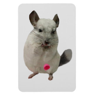 Magnet Flexible Coupe blanche chinchilla