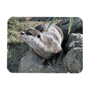 MAGNET FLEXIBLE COUPER OTTER