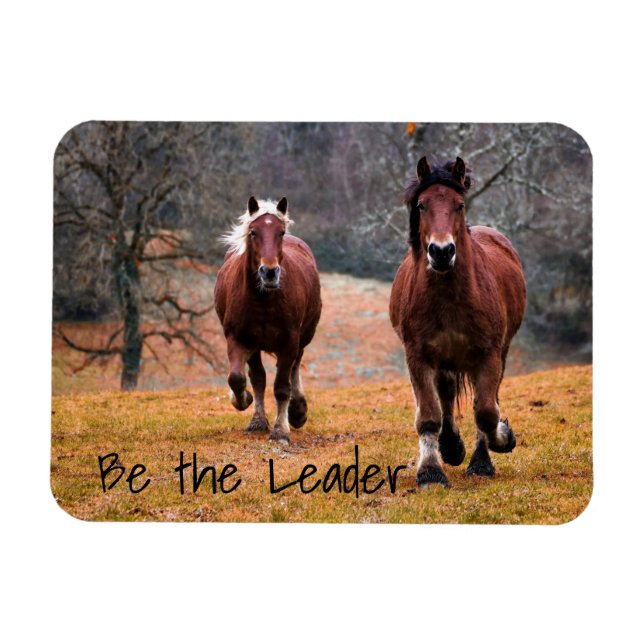 Magnet Flexible Courir Des Chevaux Être Le Leader (Horizontal)