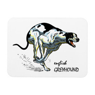 Magnet Flexible course greyhound