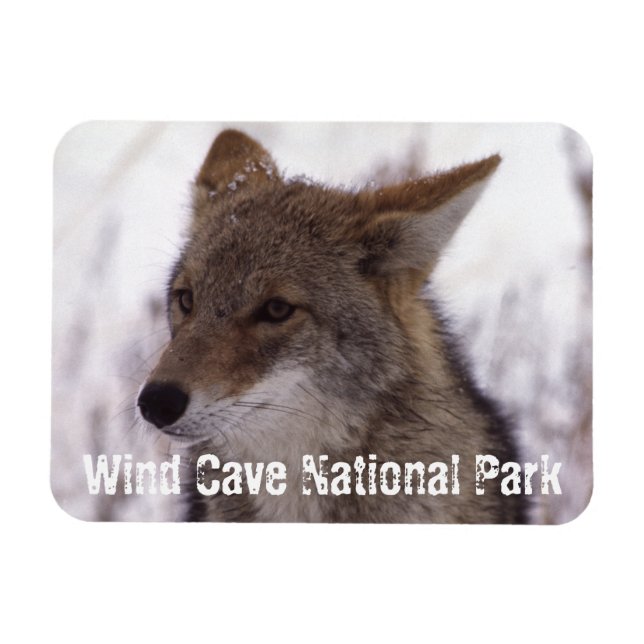 Magnet Flexible Coyote Face, Parc national de Wind Cave, SD (Horizontal)