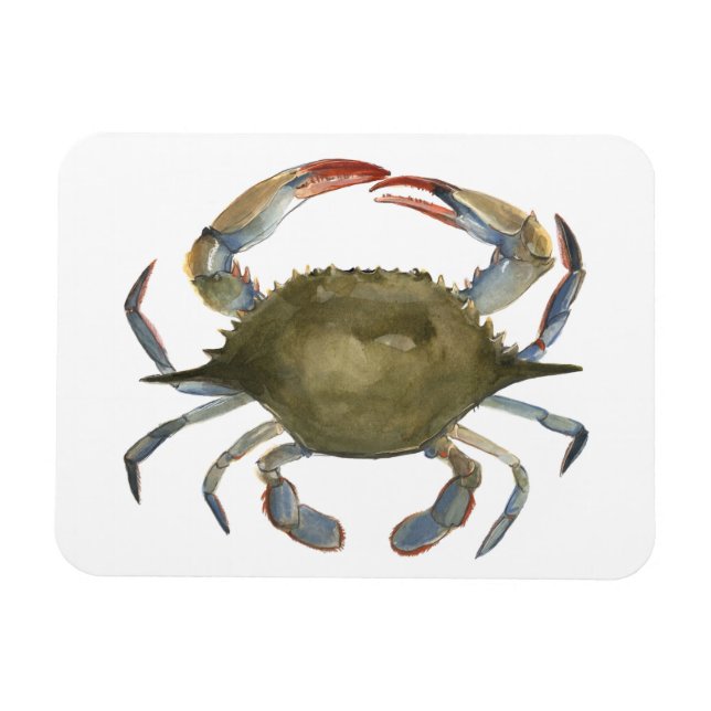 Magnet Flexible Crabe d'aquarelle - gris (Horizontal)