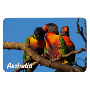 Magnet Flexible Créez votre propre aimant photo