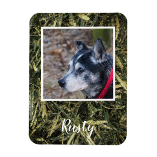 Magnet Flexible Créez votre propre aimant photo d'animal de compag