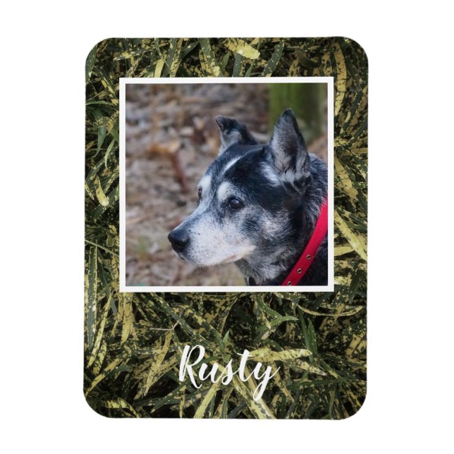 Magnet Flexible Créez votre propre aimant photo d'animal de compag (Vertical)