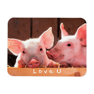 Magnet Flexible Créez Votre Propre Amour Photo Drôle Personnalisé