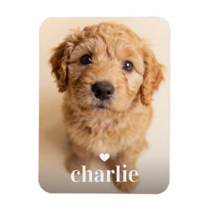 Magnet Flexible Créez Votre Propre Nom de Chien Photo Plein Cadre