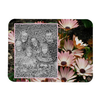 Magnet Flexible Créez votre propre photo rose Fleurs de marguerite