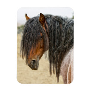 Magnet Flexible Crinière de cheval