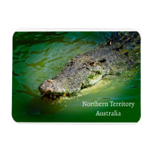 Crocodile d'eau salée du Territoire du Nord