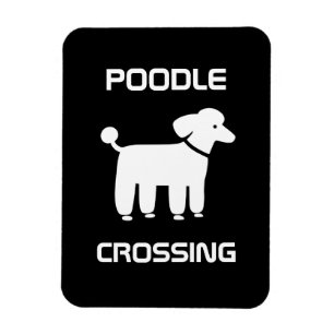 Magnet Flexible Croisement de caniche - blanc sur le noir -