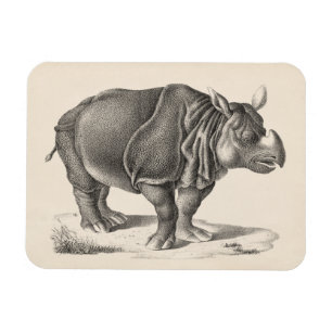 Magnet Flexible Croquis Brodtmann Rhinoceros