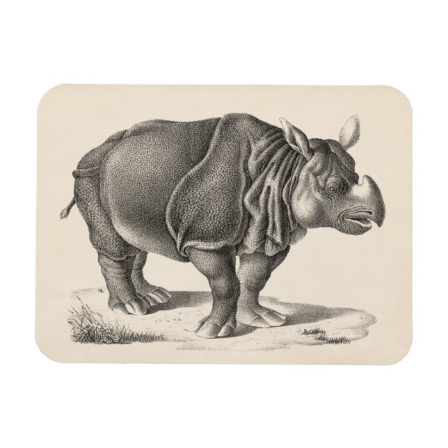 Magnet Flexible Croquis Brodtmann Rhinoceros (Horizontal)