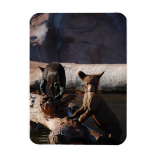 Magnet Flexible Cubes d'ours dans l'aimant à eau