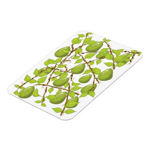 Magnet Flexible Cultiver des poires