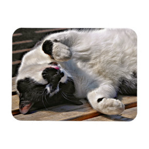 MAGNET FLEXIBLE CUT CAT