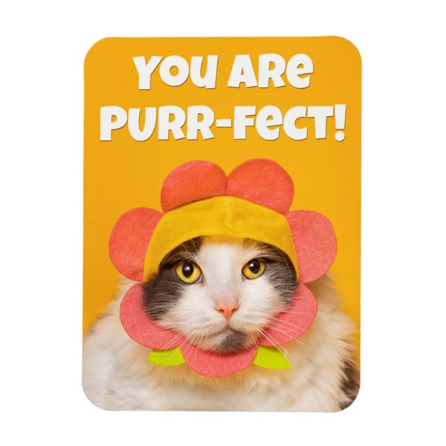 Magnet Flexible Cute Chat dans l'Humour Casquette de fleurs (Vertical)