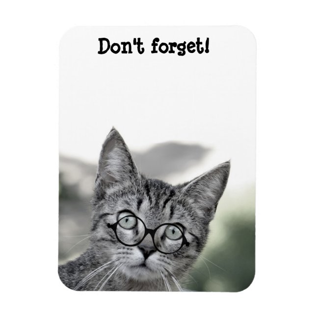 Magnet Flexible Cute Chat surpris avec le aimant de lunettes (Vertical)