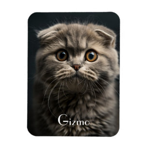 Magnet Flexible Cute Moderne Réfrigérateur Chat Pet Photo