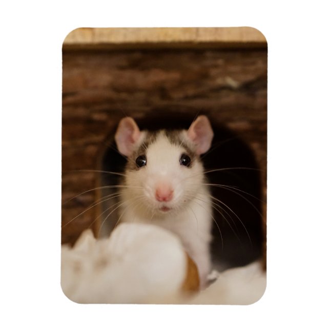 Magnet Flexible Cute rat (Vertical)