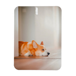 Magnet Flexible Cutest Baby Animals Corgi Sleeping